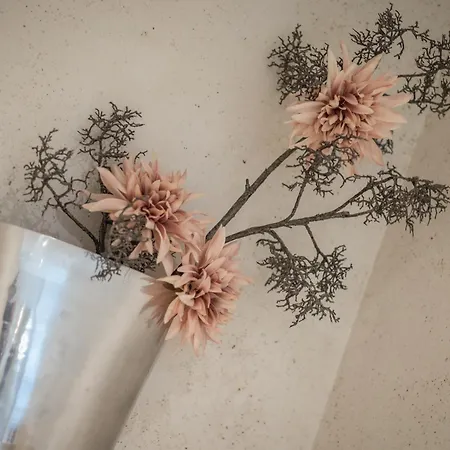 Soelring Juwel Whg 1 Apartament Wenningstedt-Braderup